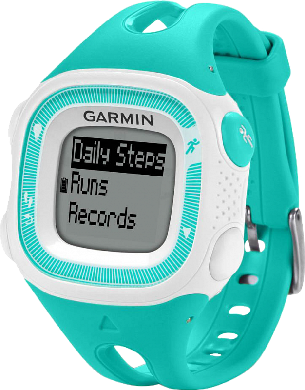 garmin forerunner 15 large