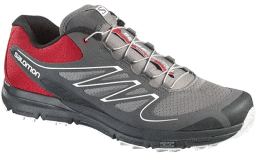 Кроссовки Salomon Sense Mantra