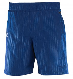 Шорты Salomon Trail Runner Short