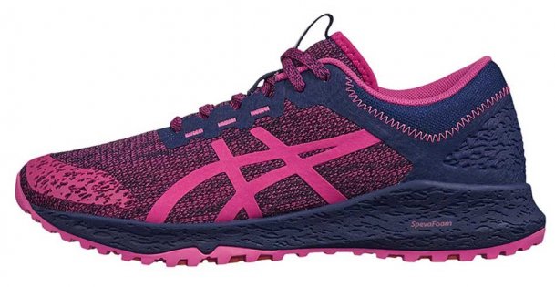 Кроссовки Asics Alpine XT W T878N 1919