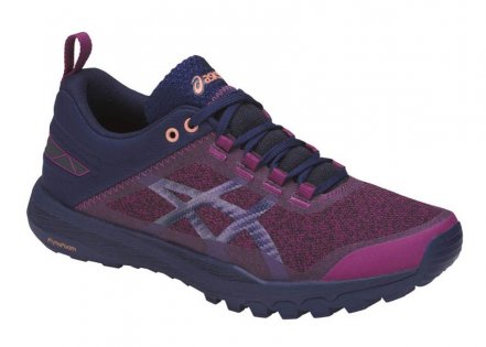 Кроссовки Asics Gecko XT W