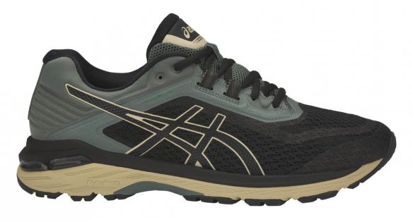 Кроссовки Asics Gt-2000 6 Trail PlasmaGuard T827N 9090