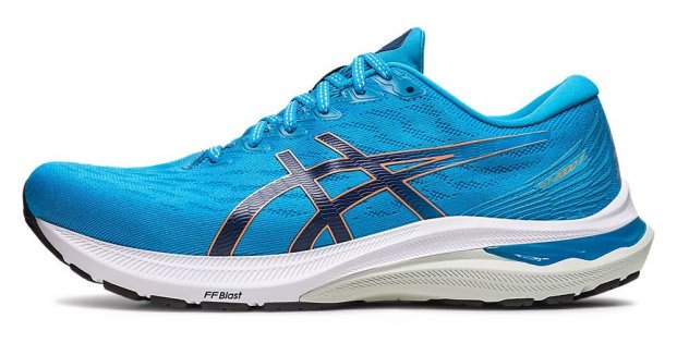 Кроссовки Asics GT-2000 11 1011B441 404