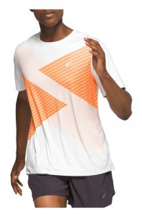 Футболка Asics Tokyo Short Sleeve Top 2011A786 101