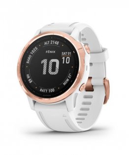 Часы Garmin Fenix 6S PRO FNX6S-PRO-PGLD-WHT