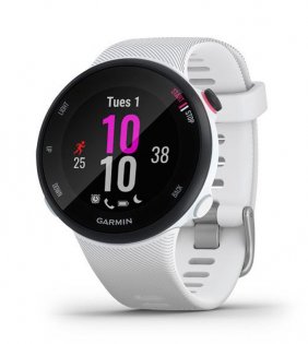 Часы Garmin Forerunner 45 HR FRNR45-HR-WHT