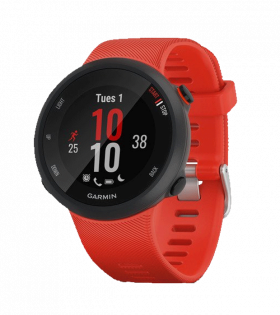 Часы Garmin Forerunner 45 HR FRNR45-HR-RD