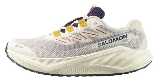 Кроссовки Salomon Aero Blaze 3 GRVL G-TX L47953200