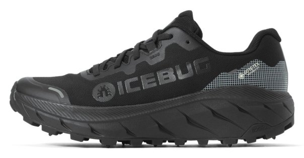 Кроссовки Icebug Arcus 2 BUGrip G-TX W H70010-9A