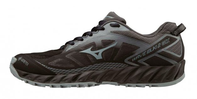 Кроссовки Mizuno Wave Ibuki 2 G-TX W .J1GK1959 37