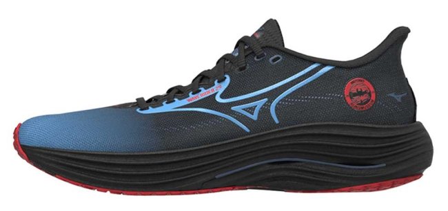 Кроссовки Mizuno Wave Rider 29 Amsterdam J1GC2562 01