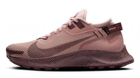 Кроссовки Nike Pegasus Trail 2 G-TX W .CU2018 200