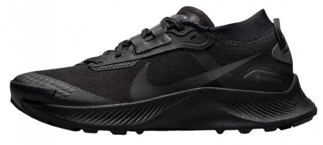 Кроссовки Nike Pegasus Trail 3 G-TX W .DC8794 001