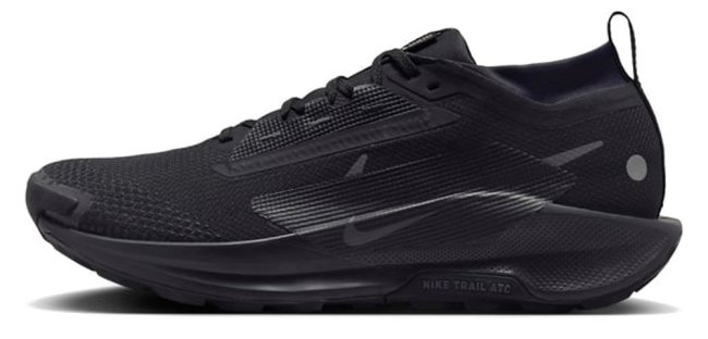 Кроссовки Nike Pegasus Trail 5 G-TX FQ0908 002