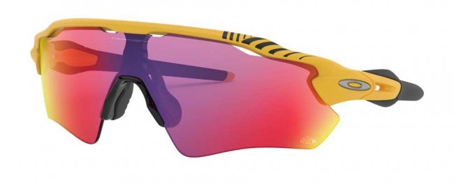 Спортивные очки Oakley Radar EV Path