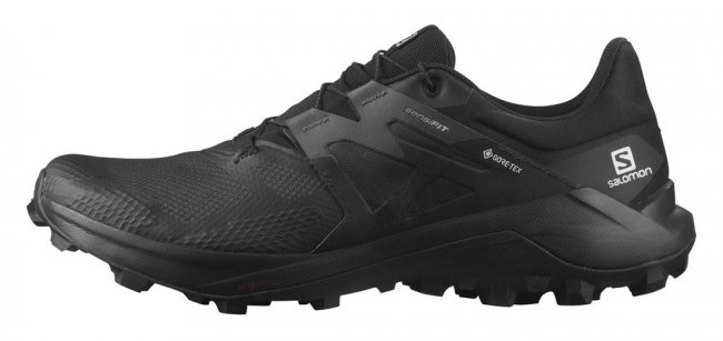 Кроссовки Salomon Wildcross 2 G-TX .L41455400