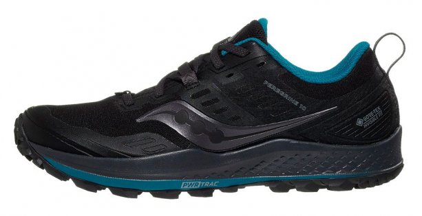 Кроссовки Saucony Peregrine 10 G-TX W S10542 2