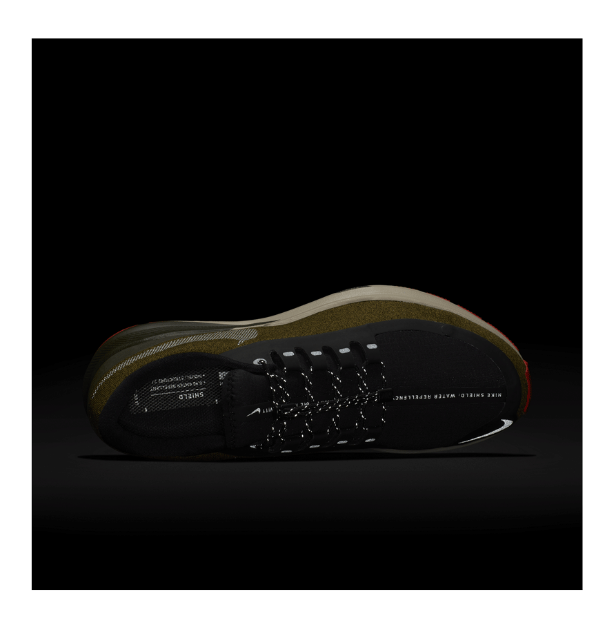 nike structure 22 shield