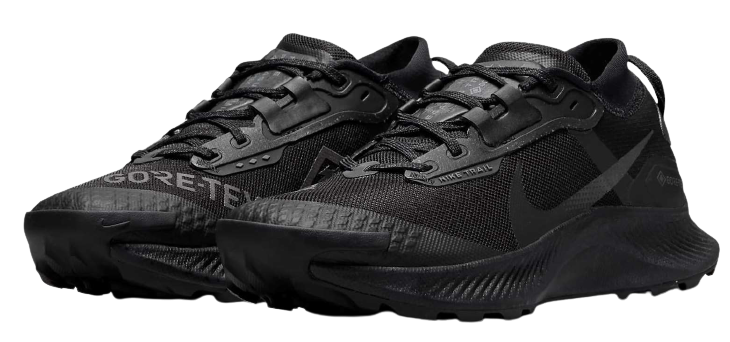 Nike Pegasus Trail 3 G TX W