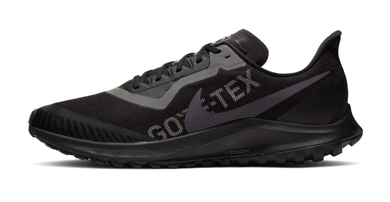 zoom pegasus 36 gore tex