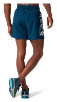 Шорты Asics 5'' Katakana Short