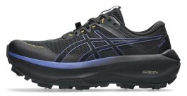 Кроссовки Asics FujiSetsu Max G-TX