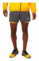 Шорты Asics Fujitrail Short