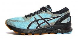 Кроссовки Asics Gel-Nimbus 21 Winterized W