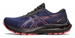 Кроссовки Asics GT-2000 11 G-TX W