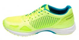 Кроссовки Asics Tartherzeal 6 W