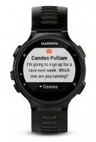 Часы Garmin Forerunner 745 GPS EU/PAC