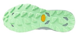 Кроссовки Mizuno Wave Daichi 9 W