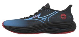 Кроссовки Mizuno Wave Rider 29 Amsterdam