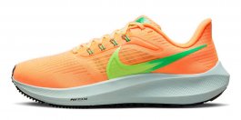 Кроссовки Nike Air Zoom Pegasus 39 W