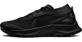 Кроссовки Nike Pegasus Trail 3 G-TX