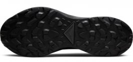 Кроссовки Nike Pegasus Trail 3 G-TX