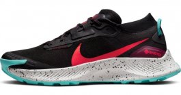 Кроссовки Nike Pegasus Trail 3 G-TX