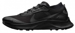 Кроссовки Nike Pegasus Trail 3 G-TX W