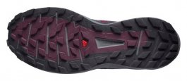 Кроссовки Salomon Sense Ride 4 W