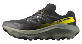 Кроссовки Salomon Ultra Flow 2 G-TX