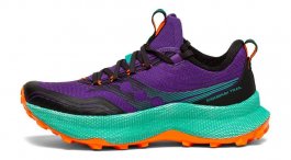 Кроссовки Saucony Endorphin Trail W