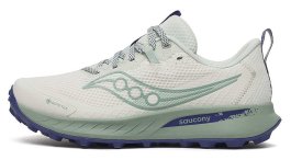 Кроссовки Saucony Peregrine 15 G-TX W