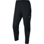 Штаны Nike Dri-Fit Shield Pant №1