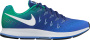 Кроссовки Nike Air Zoom Pegasus 33 .831352 404 №1