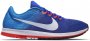 Кроссовки Nike Zoom Streak 6 №1