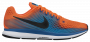 Кроссовки Nike Air Zoom Pegasus 34 880555 800 №1