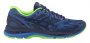 Кроссовки Asics Gel-Nimbus 19 Lite-Show T7C3N 4943 синие №1