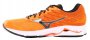 Кроссовки Mizuno Wave Rider 20 J1GC1703 13 №2