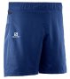 Шорты Salomon Trail Runner Short №2