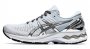 Кроссовки Asics Gel-Kayano 27 Platinum W .1012A763 020 №1